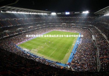 爱游戏体育在线-山东泰山队武汉全力备战中超收官战