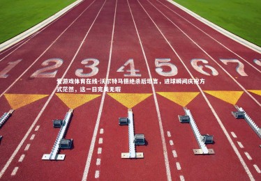 爱游戏体育在线-沃尔特马德绝杀后坦言，进球瞬间庆祝方式茫然，这一日完美无瑕